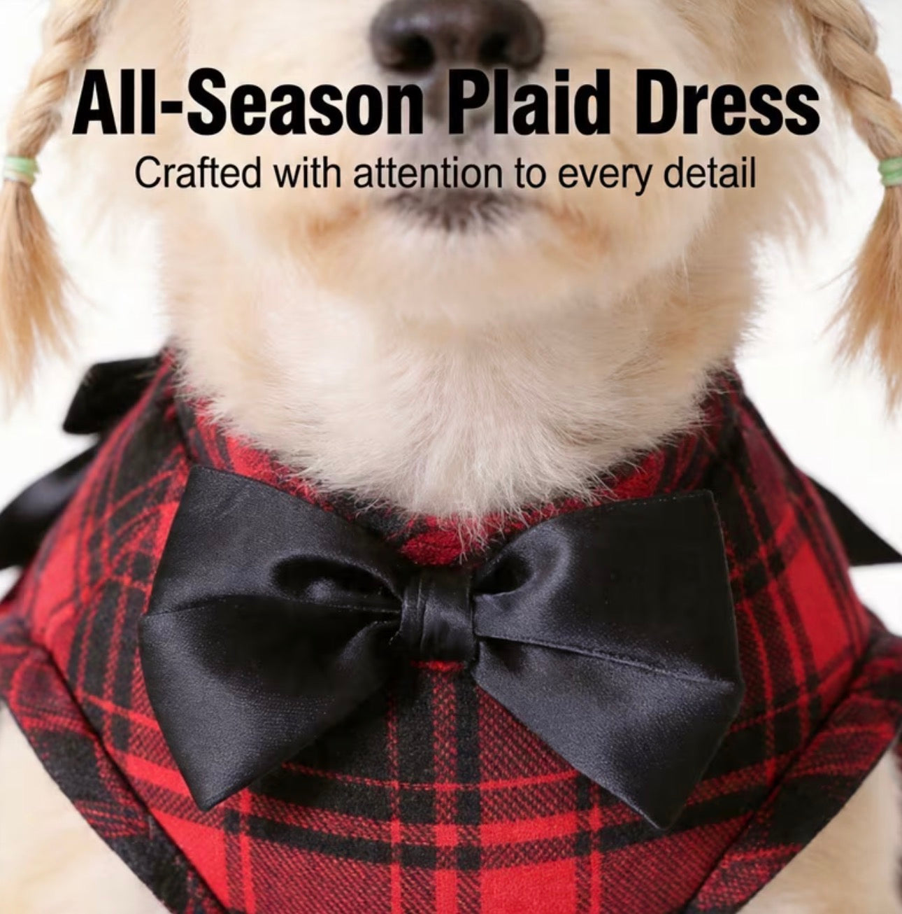 Dog & Cat Large Plaid Academic Style Bow Dress