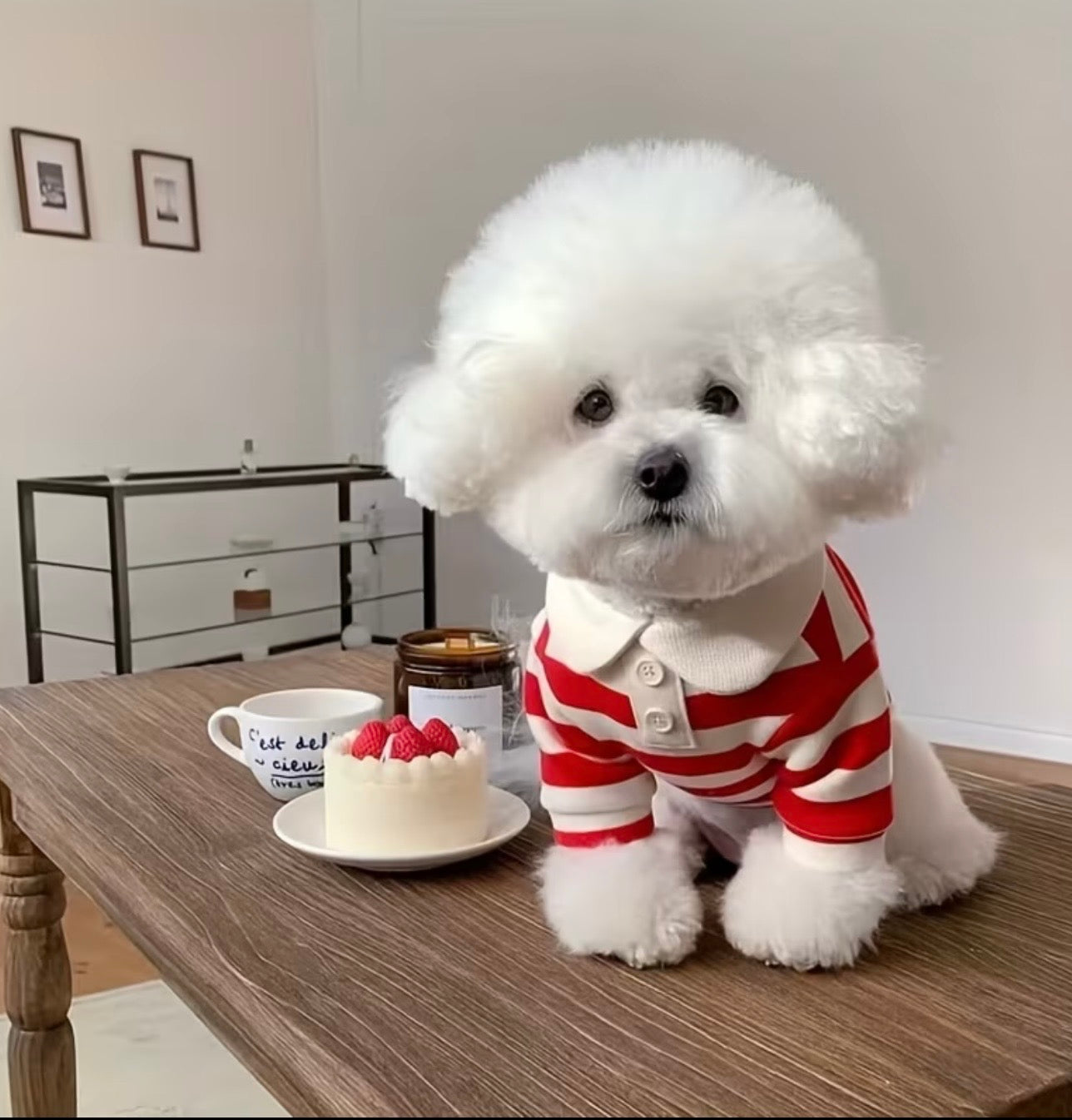 Classic Striped Pet Polo Shirt